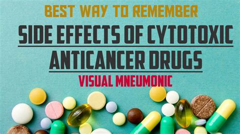 bet51|Anticancer Effects of I.